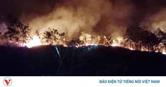 Kịp thời khống chế vụ cháy rừng tại xã A Lưới 1, thành phố Huế