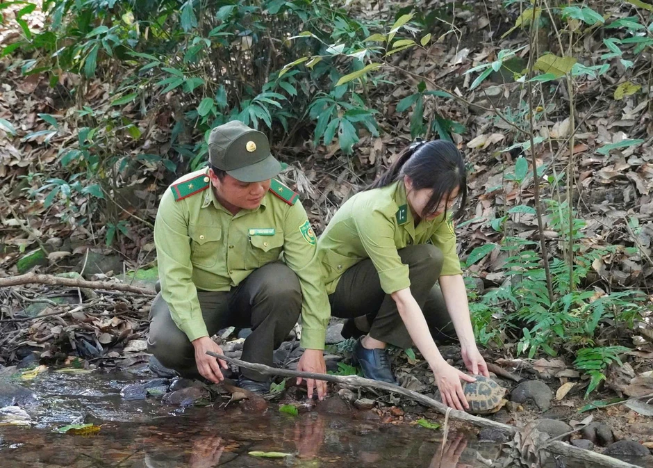Kỳ đà, tê tê cùng 2 cá thể rùa quý hiếm được thả về tự nhiên Kỳ đà, tê tê cùng 2 cá thể rùa quý hiếm được thả về tự nhiên