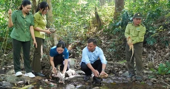 Kỳ đà, tê tê cùng 2 cá thể rùa quý hiếm được thả về tự nhiên