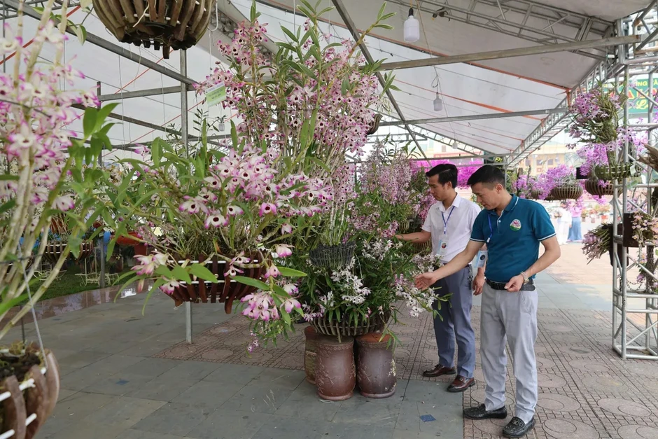 Lai Châu: Hương sắc lan rừng hội tụ – lan tỏa giá trị sinh thái và văn hóa Lai Châu: Hương sắc lan rừng hội tụ – lan tỏa giá trị sinh thái và văn hóa