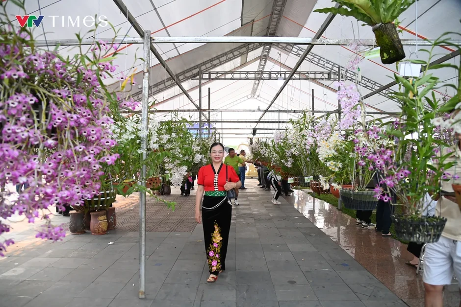 Lai Châu: Hương sắc lan rừng hội tụ – lan tỏa giá trị sinh thái và văn hóa Lai Châu: Hương sắc lan rừng hội tụ – lan tỏa giá trị sinh thái và văn hóa