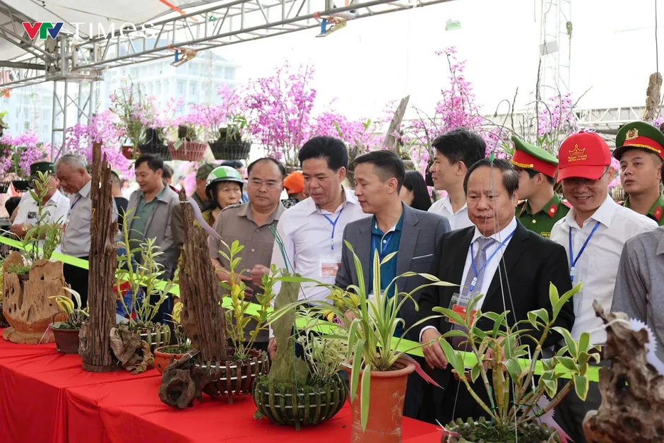 Lai Châu: Hương sắc lan rừng hội tụ – lan tỏa giá trị sinh thái và văn hóa Lai Châu: Hương sắc lan rừng hội tụ – lan tỏa giá trị sinh thái và văn hóa