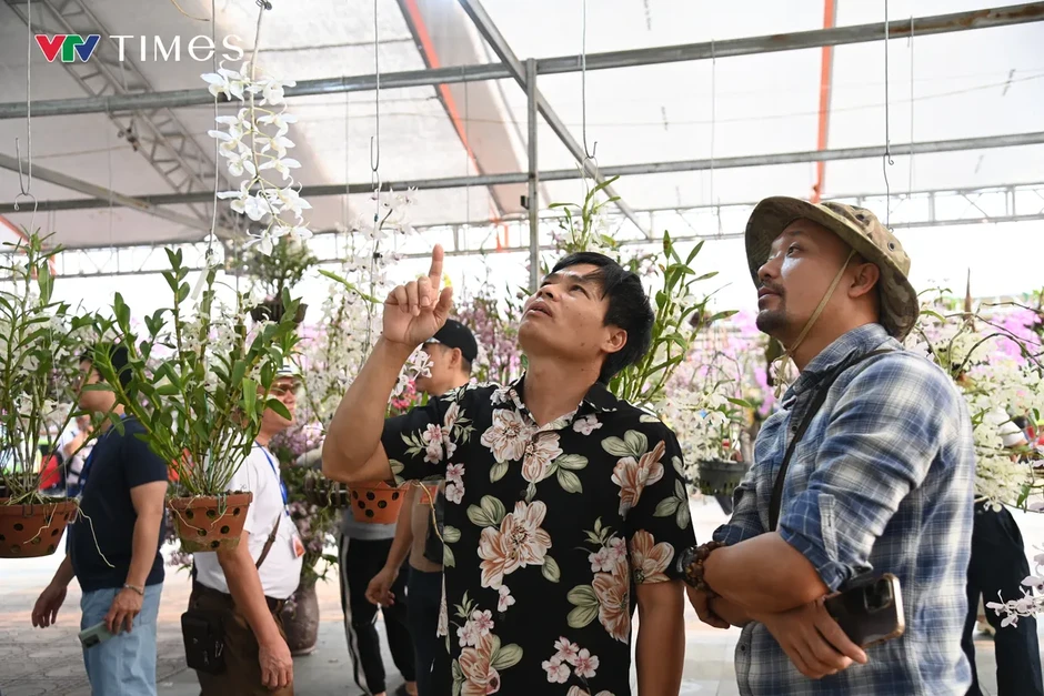 Lai Châu: Hương sắc lan rừng hội tụ – lan tỏa giá trị sinh thái và văn hóa Lai Châu: Hương sắc lan rừng hội tụ – lan tỏa giá trị sinh thái và văn hóa