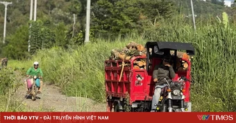 Lâm Đồng bố trí 90 tỷ đồng khắc phục sạt lở tuyến tránh Bảo Lộc