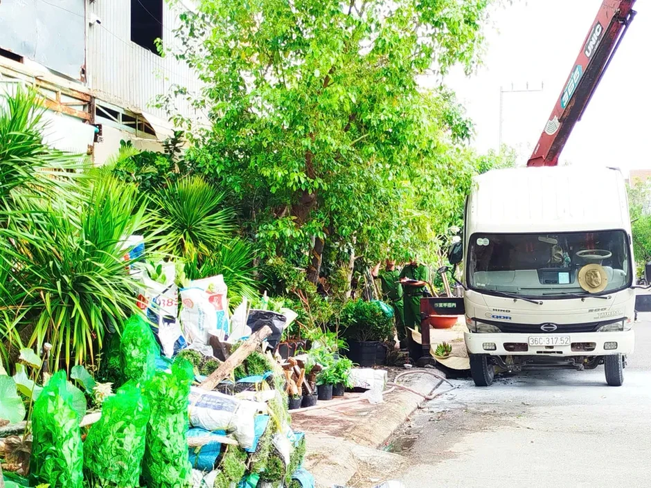 Lâm Đồng: Cẩu cây cảnh vướng điện trung thế, tài xế tử vong Lâm Đồng: Cẩu cây cảnh vướng điện trung thế, tài xế tử vong