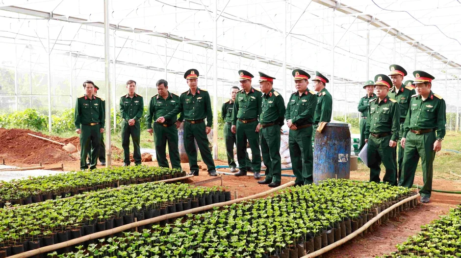 Lâm Đồng: Giữ đất, giữ rừng, củng cố “thế trận lòng dân” Lâm Đồng: Giữ đất, giữ rừng, củng cố “thế trận lòng dân”
