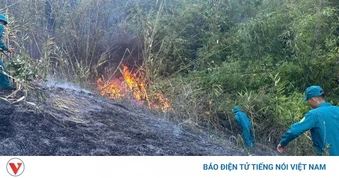 Lâm Đồng: Hơn 100 người tham gia chữa cháy rừng trên đèo Bảo Lộc