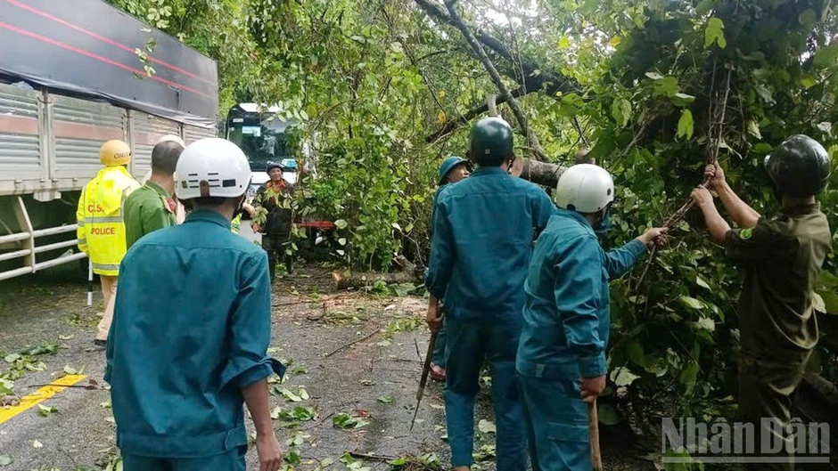 Lâm Đồng: Lại diễn ra đổ cây chắn ngang đèo Bảo Lộc Lâm Đồng: Lại diễn ra đổ cây chắn ngang đèo Bảo Lộc