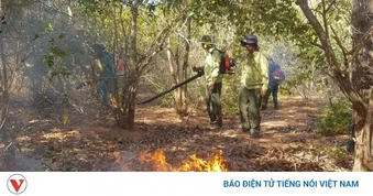 Lâm Đồng tăng cường phòng cháy rừng mùa khô 2026