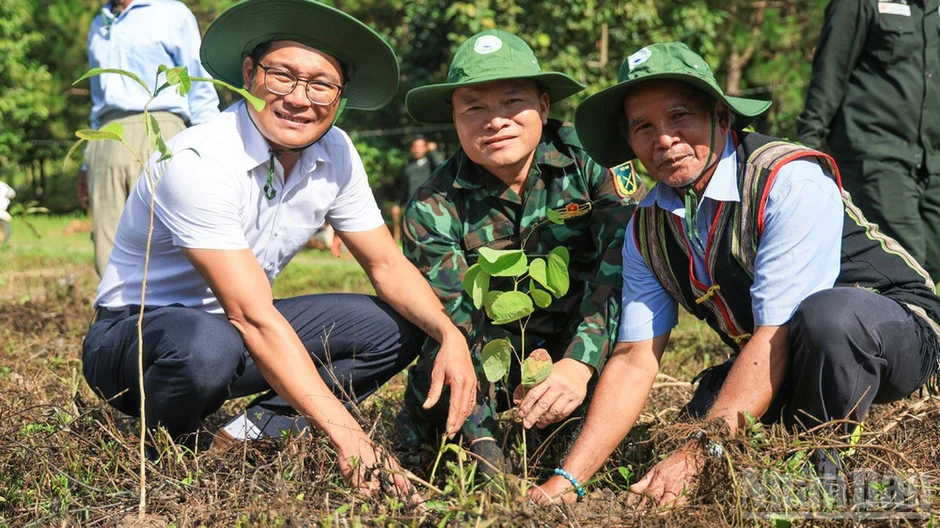 Lâm Đồng tập trung khắc phục tồn tại trong quản lý, bảo vệ rừng Lâm Đồng tập trung khắc phục tồn tại trong quản lý, bảo vệ rừng