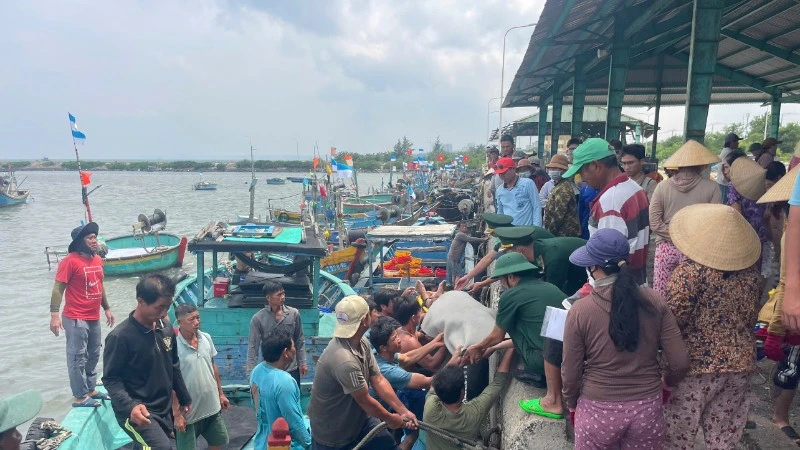 Lâm Đồng: Tàu hàng hải tông tàu cá chìm, bồi thường hơn 2,6 tỷ đồng Lâm Đồng: Tàu hàng hải tông tàu cá chìm, bồi thường hơn 2,6 tỷ đồng