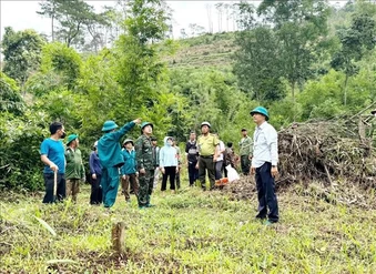 Lâm Đồng triển khai thu hồi đất lâm nghiệp bị lấn chiếm trái phép
