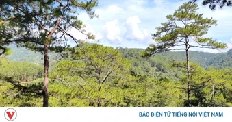 Lâm Đồng triển khai xây dựng 112 trạm BTS phủ sóng vùng sâu, vùng xa