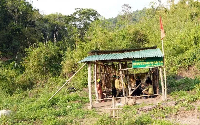 Lâm Đồng: Xử lý nghiêm cán bộ buông lỏng quản lý để xảy ra nạn phá rừng