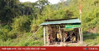 Lâm Đồng: Xử lý nghiêm cán bộ buông lỏng quản lý để xảy ra nạn phá rừng