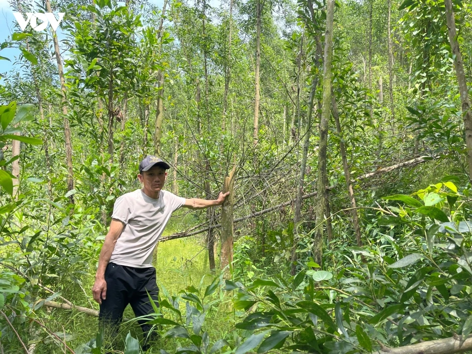 Làm rõ dấu hiệu “trục lợi” tiền hỗ trợ thiệt hại do thiên tai tại Quảng Trị Làm rõ dấu hiệu “trục lợi” tiền hỗ trợ thiệt hại do thiên tai tại Quảng Trị
