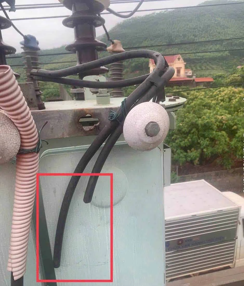 Làm rõ vụ nghi cắt trộm cáp điện, chủ trang trại mất gần 20.000 con gà ở Bắc Ninh Làm rõ vụ nghi cắt trộm cáp điện, chủ trang trại mất gần 20.000 con gà ở Bắc Ninh