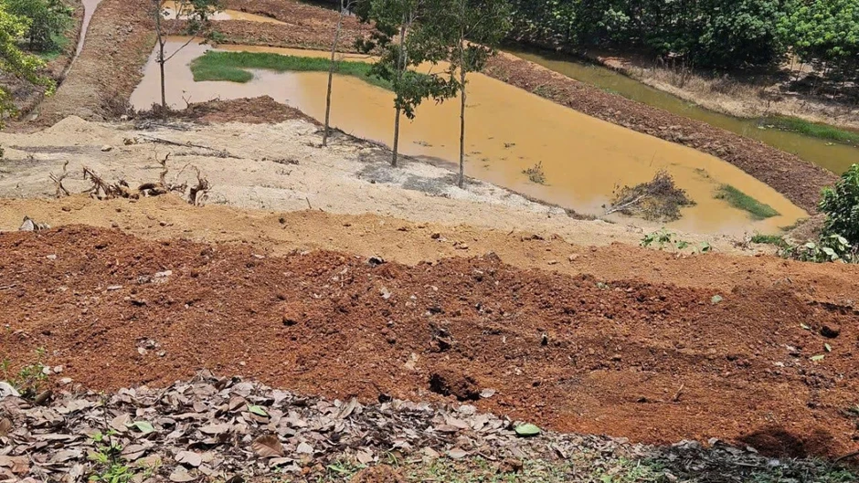 Lấn chiếm, làm biến dạng đất công, một cá nhân ở Đồng Nai bị phạt 70 triệu đồng Lấn chiếm, làm biến dạng đất công, một cá nhân ở Đồng Nai bị phạt 70 triệu đồng