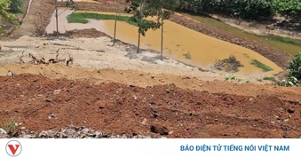 Lấn chiếm, làm biến dạng đất công, một cá nhân ở Đồng Nai bị phạt 70 triệu đồng
