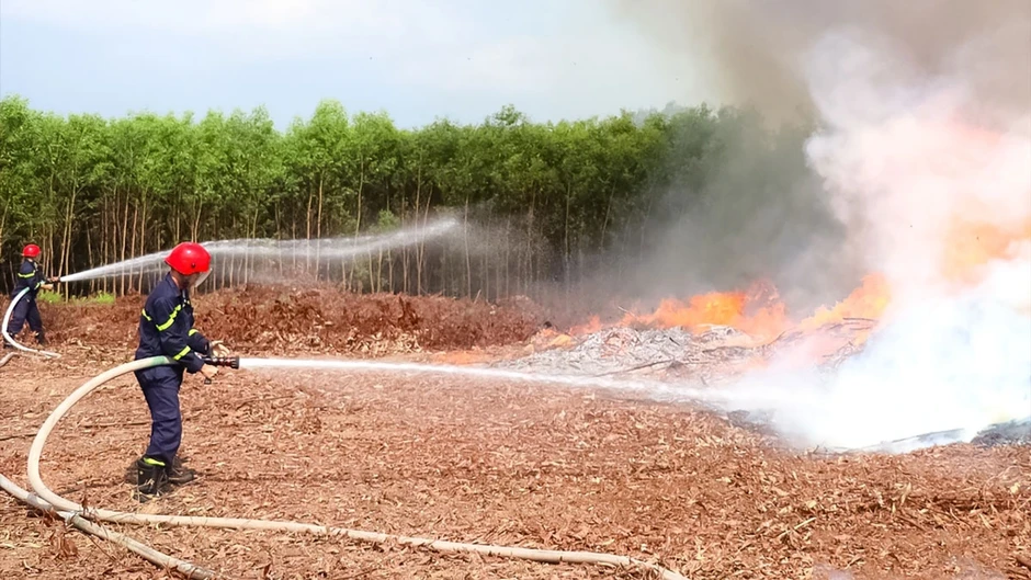 Lãnh đạo Đồng Nai chỉ đạo khẩn sau vụ 2 cháy rừng liên tiếp Lãnh đạo Đồng Nai chỉ đạo khẩn sau vụ 2 cháy rừng liên tiếp