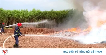 Lãnh đạo Đồng Nai chỉ đạo khẩn sau vụ 2 cháy rừng liên tiếp