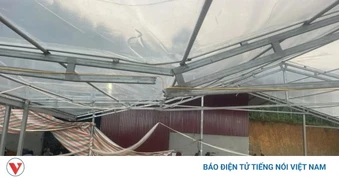 Lào Cai huy động lực lượng khắc phục, hỗ trợ người dân sau mưa lớn, dông lốc