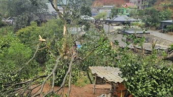 Lào Cai khẩn trương khắc phục lưới điện sau giông, lốc
