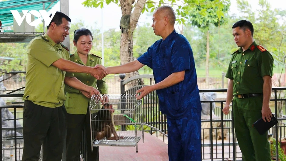 Lào Cai: Người dân tìm thấy cá thể khỉ mặt đỏ, bàn giao cho cơ quan chức năng Lào Cai: Người dân tìm thấy cá thể khỉ mặt đỏ, bàn giao cho cơ quan chức năng