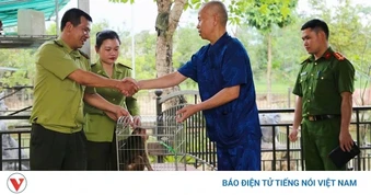 Lào Cai: Người dân tìm thấy cá thể khỉ mặt đỏ, bàn giao cho cơ quan chức năng