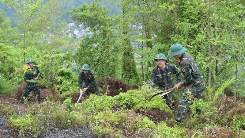 Lào Cai: Thắp lên hy vọng tìm lại tên cho liệt sĩ từ chiến dịch lấy mẫu ADN Lào Cai: Thắp lên hy vọng tìm lại tên cho liệt sĩ từ chiến dịch lấy mẫu ADN