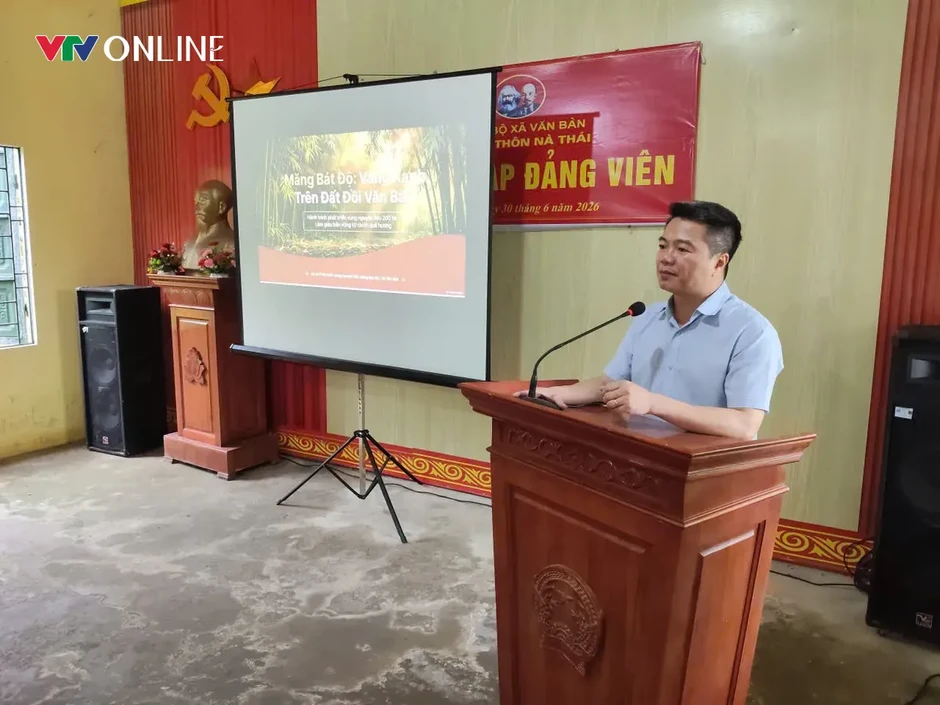 Lào Cai: Văn Bàn phát triển vùng nguyên liệu tre măng Bát độ gắn với thị trường Lào Cai: Văn Bàn phát triển vùng nguyên liệu tre măng Bát độ gắn với thị trường