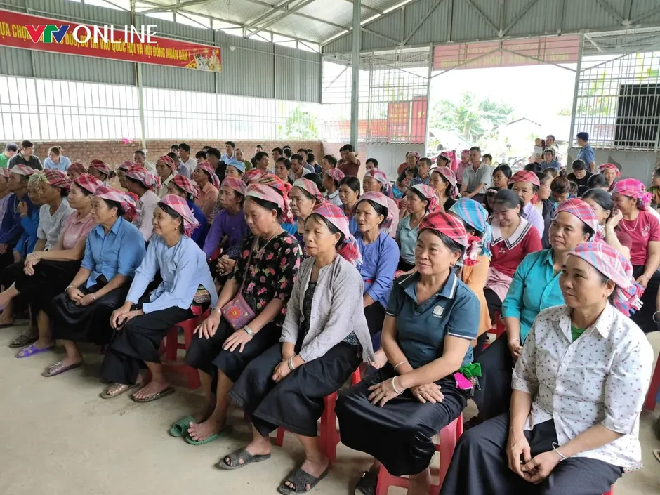 Lào Cai: Văn Bàn phát triển vùng nguyên liệu tre măng Bát độ gắn với thị trường Lào Cai: Văn Bàn phát triển vùng nguyên liệu tre măng Bát độ gắn với thị trường
