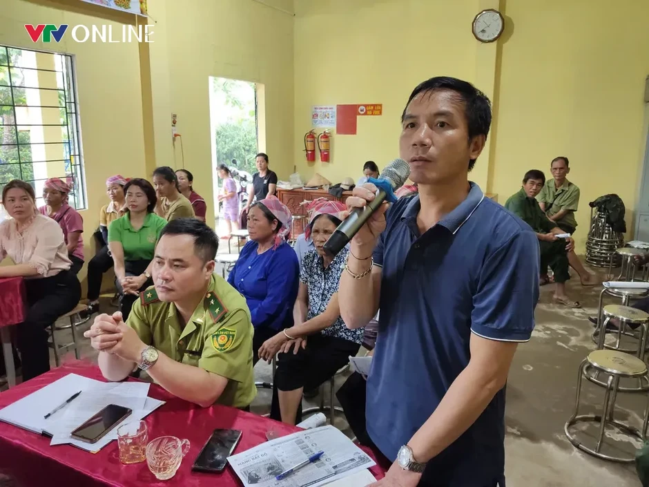 Lào Cai: Văn Bàn phát triển vùng nguyên liệu tre măng Bát độ gắn với thị trường Lào Cai: Văn Bàn phát triển vùng nguyên liệu tre măng Bát độ gắn với thị trường