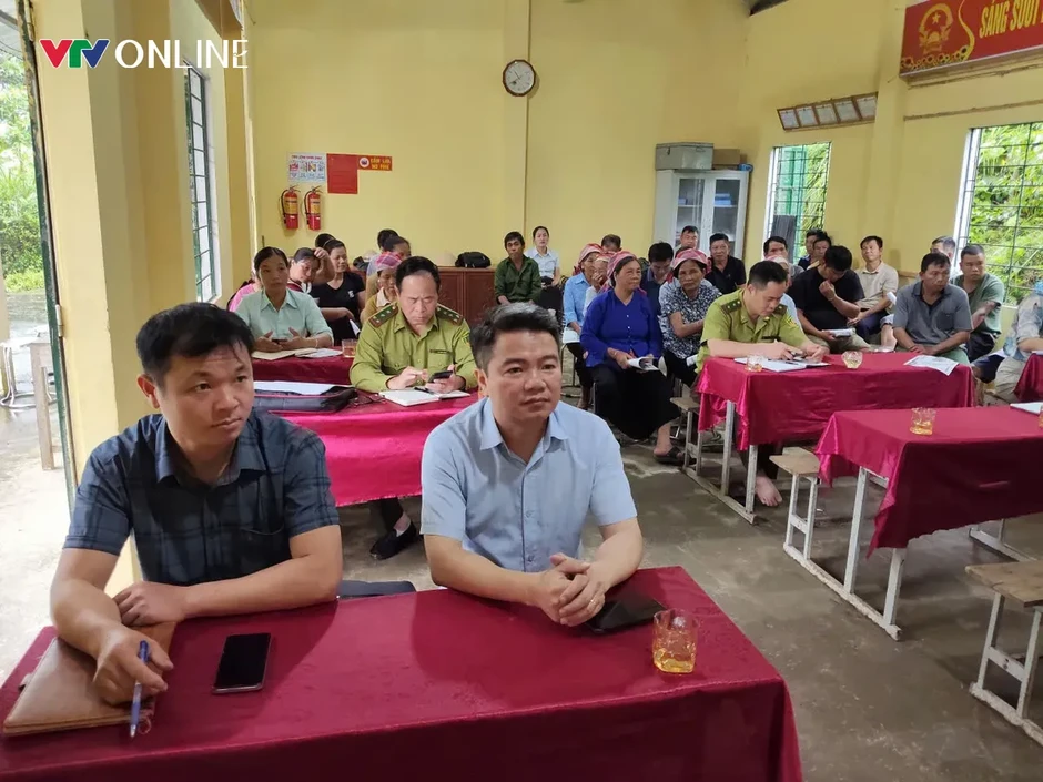 Lào Cai: Văn Bàn phát triển vùng nguyên liệu tre măng Bát độ gắn với thị trường Lào Cai: Văn Bàn phát triển vùng nguyên liệu tre măng Bát độ gắn với thị trường