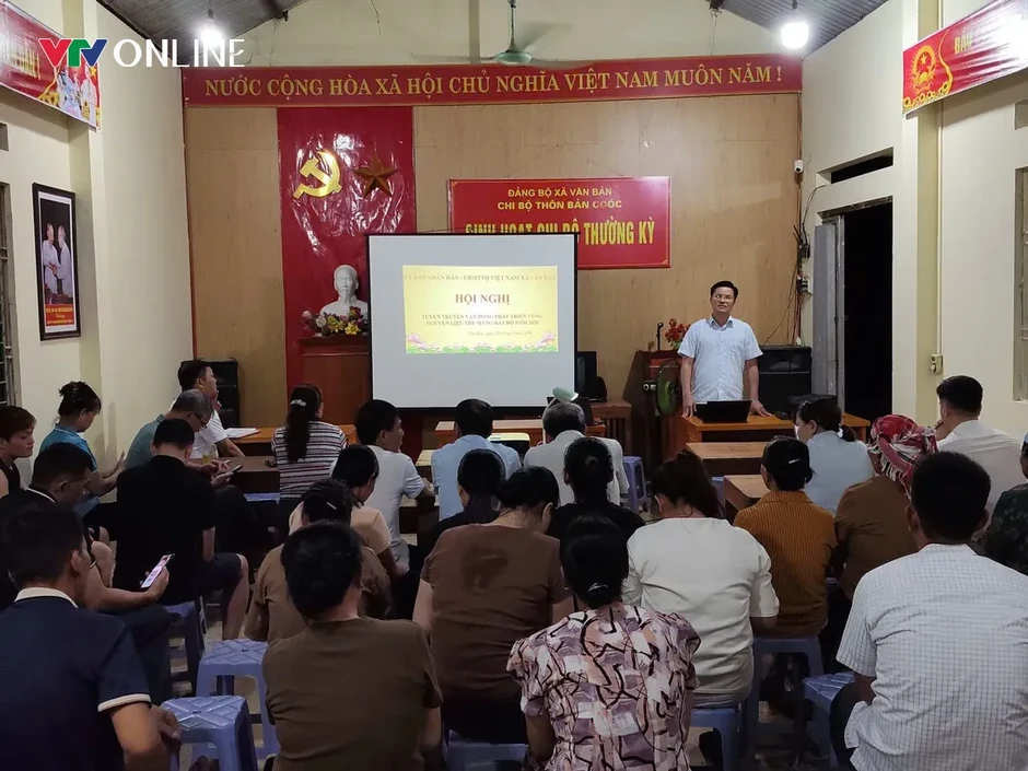 Lào Cai: Văn Bàn phát triển vùng nguyên liệu tre măng Bát độ gắn với thị trường Lào Cai: Văn Bàn phát triển vùng nguyên liệu tre măng Bát độ gắn với thị trường