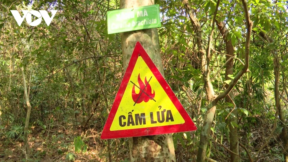 Lập chốt trên các lối đi, ngăn người dân đưa mồi lửa vào rừng tại Quảng Trị Lập chốt trên các lối đi, ngăn người dân đưa mồi lửa vào rừng tại Quảng Trị