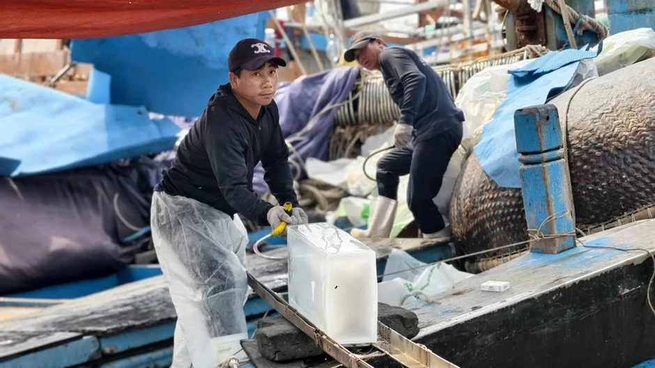 Liên kết tổ đội đánh bắt trên biển, ngư dân Quảng Ngãi trúng đậm Liên kết tổ đội đánh bắt trên biển, ngư dân Quảng Ngãi trúng đậm