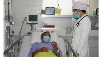 Liên tiếp 3 trường hợp ngộ độc cá nóc phải nhập viện điều trị