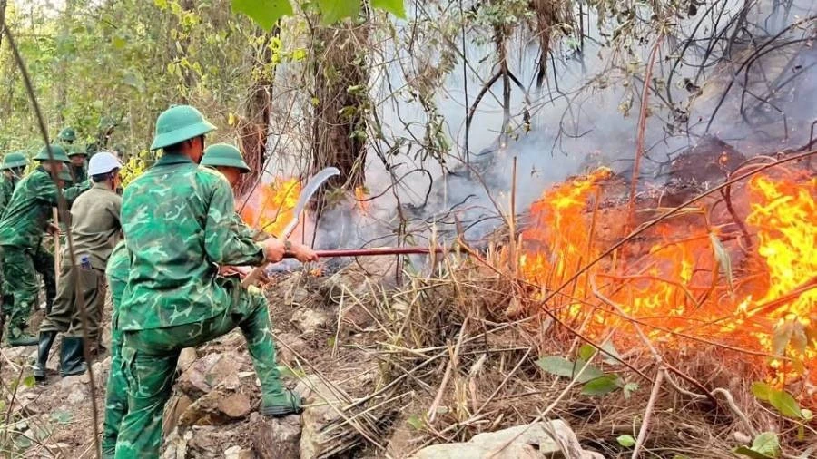 Liên tiếp xảy ra cháy rừng, Bộ đội Biên phòng Quảng Trị huy động lực lượng phối hợp chữa cháy Liên tiếp xảy ra cháy rừng, Bộ đội Biên phòng Quảng Trị huy động lực lượng phối hợp chữa cháy
