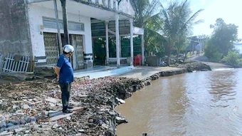 Liên tục xảy ra sạt lở đất ven sông Cà Mau