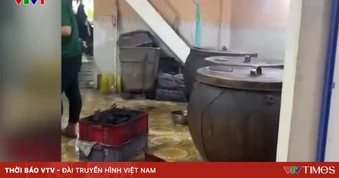 Lò quay lợn bằng củi than gây ô nhiễm trong khu dân cư ở TP Hồ Chí Minh