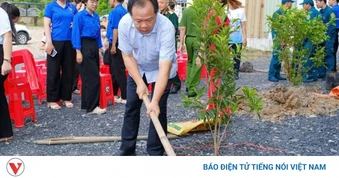 Loạt công trình dân sinh chào mừng 50 năm TP.HCM vinh dự mang tên Bác
