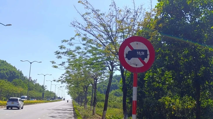 Loạt xe đầu kéo ben hàng chục tấn ngang nhiên chạy vào đường cấm ở Đà Nẵng Loạt xe đầu kéo ben hàng chục tấn ngang nhiên chạy vào đường cấm ở Đà Nẵng