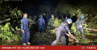 Lốc xoáy quét qua trong đêm, nhiều nhà dân ở Cà Mau đổ sập