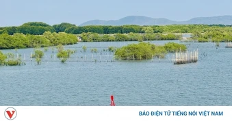 Long Sơn không đánh đổi rừng, biển để phát triển không gian đô thị mới