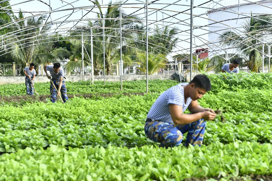 Lữ đoàn 167 bế mạc Hội thi bốn chuyên ngành hậu cần năm 2026 Lữ đoàn 167 bế mạc Hội thi bốn chuyên ngành hậu cần năm 2026