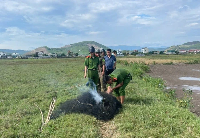 Lưới bẫy đánh bắt chim trời xuất hiện trên cánh đồng Quảng Trị Lưới bẫy đánh bắt chim trời xuất hiện trên cánh đồng Quảng Trị