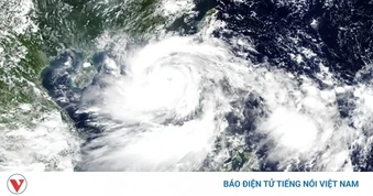 Lý do đổi tên bão YAGI và TRAMI