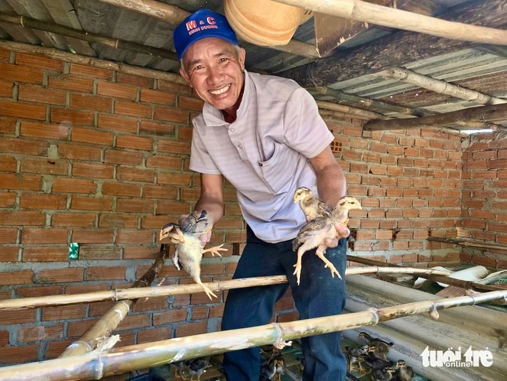 Mất đàn gà sau lũ, người dân Bình Định vui mừng nhận gà giống để tái đàn