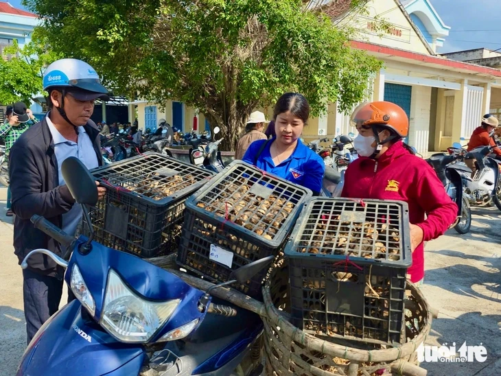 Mất đàn gà sau lũ, người dân Bình Định vui mừng nhận gà giống để tái đàn